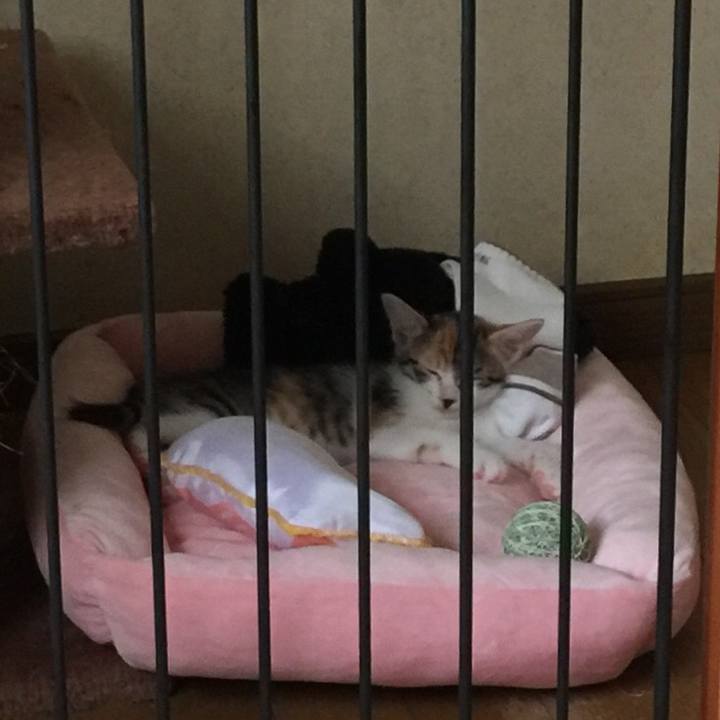 C5cadd56 0e1c 4179 8f12 6190c12c0e95 1629781478115