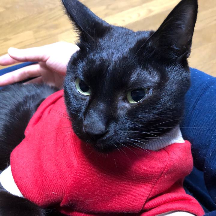 C5cb55b9 6f6e 4a74 bb29 4245b48a0950 1735165285301