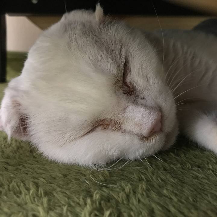 C5cba76a 099e 4182 937e b7449f7f4b50 1516169063161