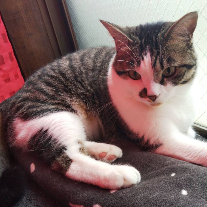 C5cbcb7c 3554 4d0d 9939 304c25a3a660 1654991079278