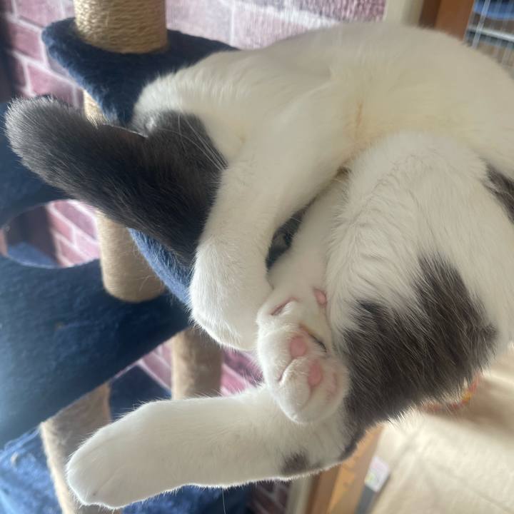 C5cbcf42 61b6 4976 8782 f3da4f0e4a46 1733187906379