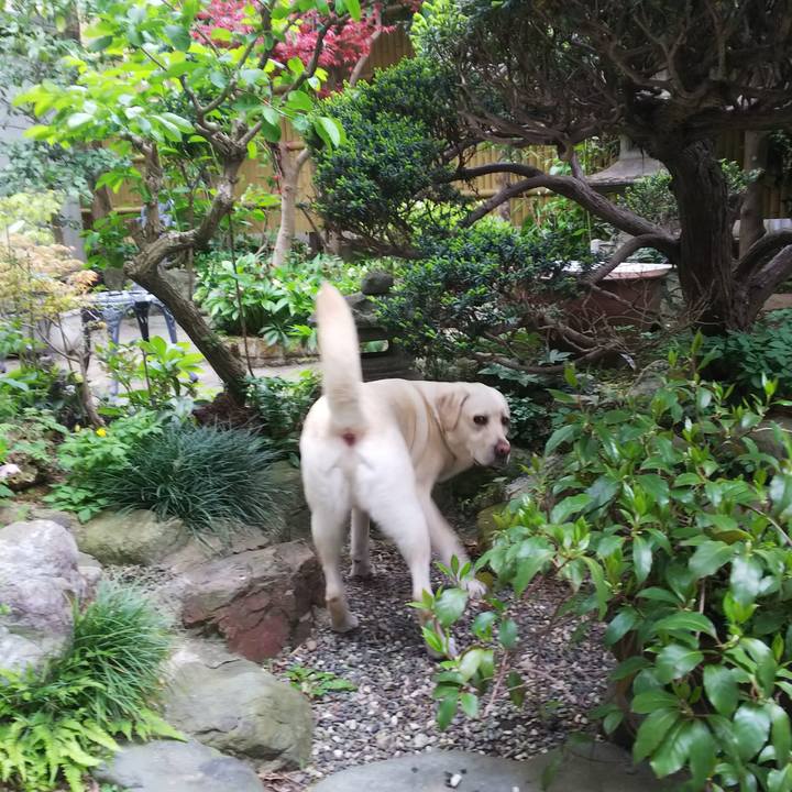 C5cbd37d 1e41 4bce a31c 80e66f2d6fdb 1523087840968