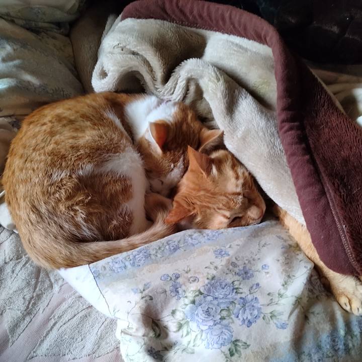 C5cc0192 0ac6 44ae 9a0e 5e276dd9d01e 1744608541064