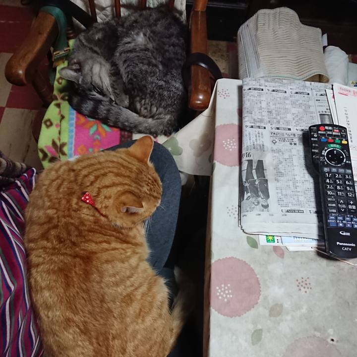 C5cc12d9 8569 46ba 9e8a 340cf9ceec10 1578787585388