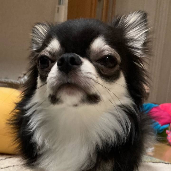 C5cc1fb9 6857 464f 84c9 f69660af37ef 1625408312151