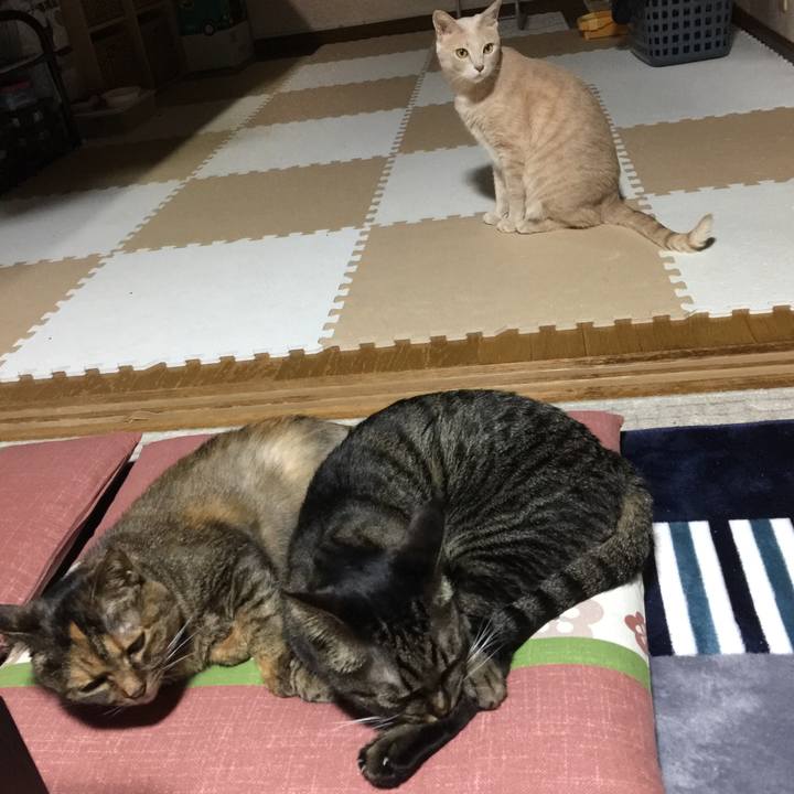 C5cc3ca6 804c 4299 bc86 72c21ade1f96 1524221403358