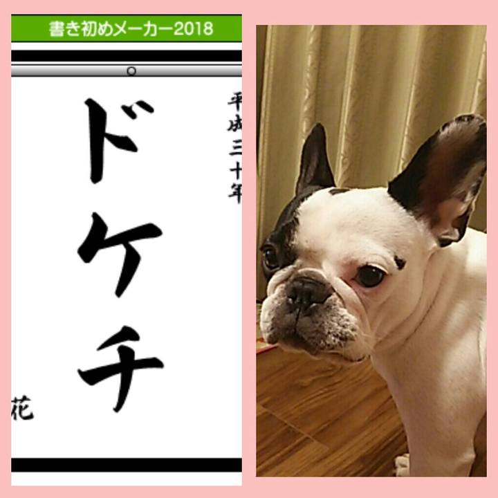 C5cc5d50 df6d 4b28 aa5b 6962fdc3fc43 1515075732878