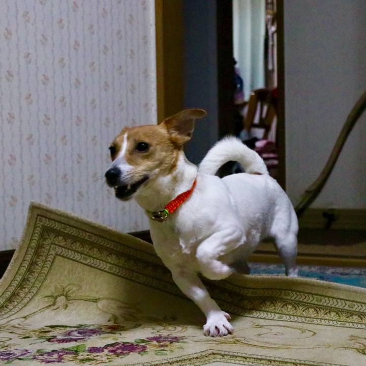 C5cc6330 e055 492f adf1 4815d9c9338c 1549969635772