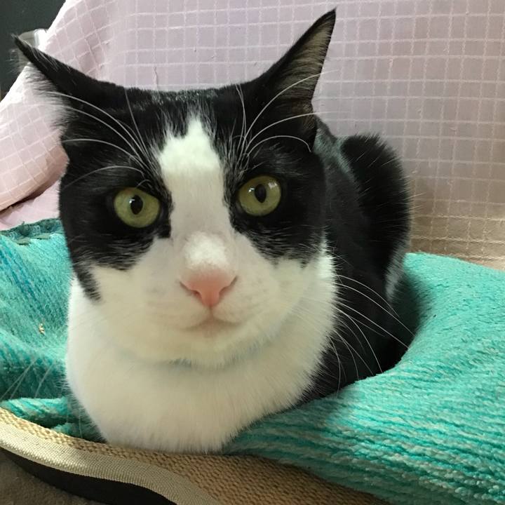 C5cc6e8d 806c 42ce 8cd5 1b5b243b08ca 1740370015766