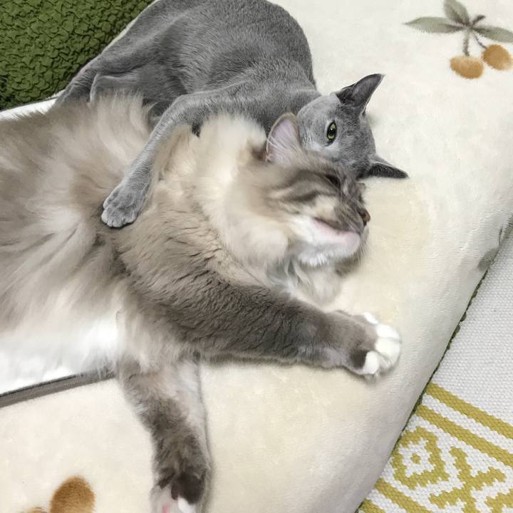 C5cc7c32 6ed9 4796 8bb9 f42dbe1441c6 1513118558046