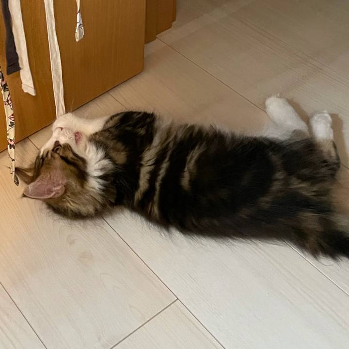 C5cc802d ceb8 4766 8613 013e1fdd3c53 1631955093475