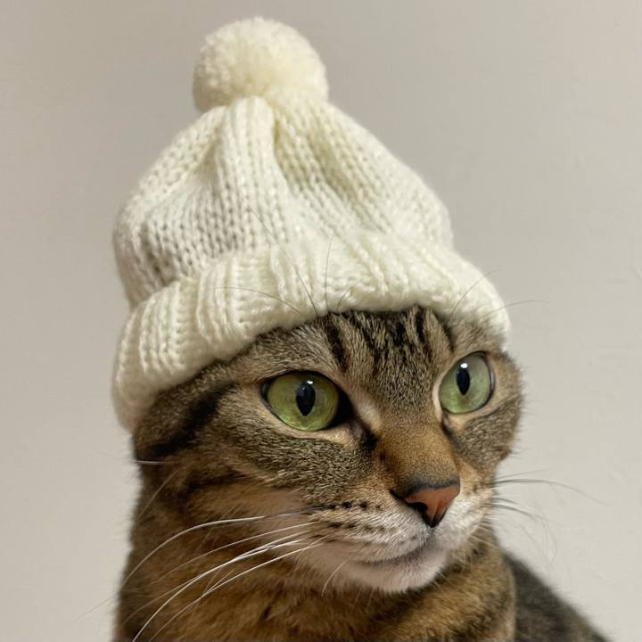 C5cce6a5 ecba 4dc8 a14f 525706927e73 1771500048895