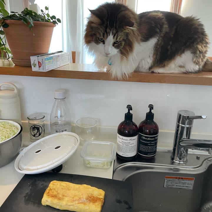 C5cd16a2 bab6 4b7b bb98 8e2d93261737 1725140116438