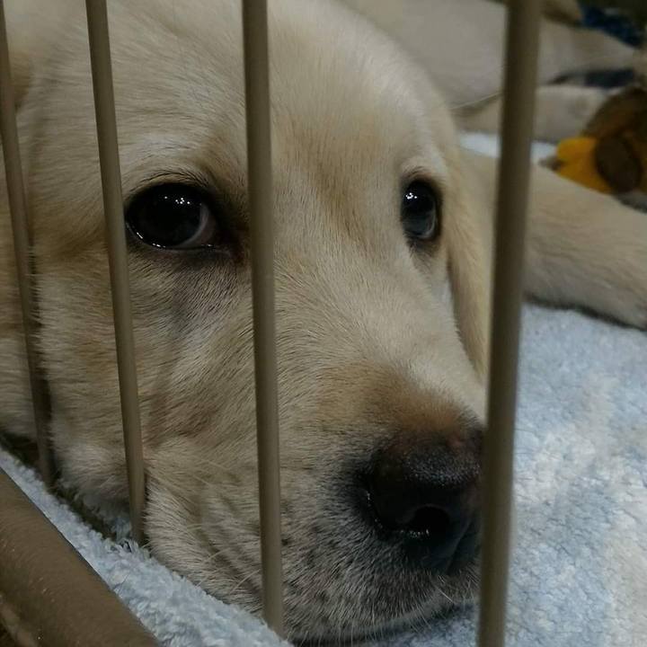 C5cd4990 85aa 4f8f b850 08d93e2cbe3e 1617451461179