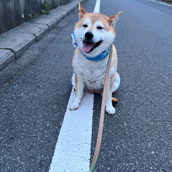 C5cd8635 bf15 4267 85ac d95b4777938f 1719915284641