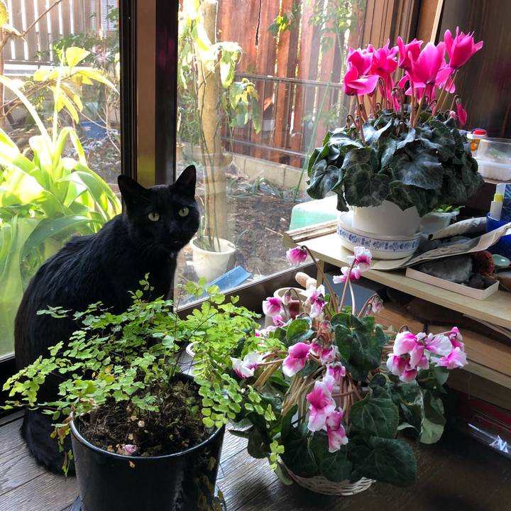 C5cd9891 40e5 447b 88b4 a7d92b992179 1518190620174