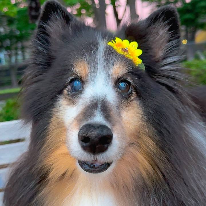 C5cdc0ef bdc4 4d36 a711 b83ad6701d9f 1749749432956