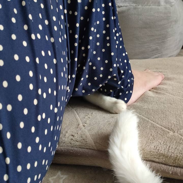 C5cdc8a3 f00a 4dd0 83e6 fd4cc16f4477 1679706424720