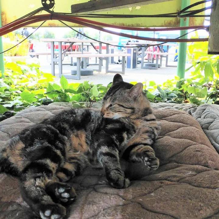 C5cdd369 240b 444a 96ee 8bbba016096f 1621992003348