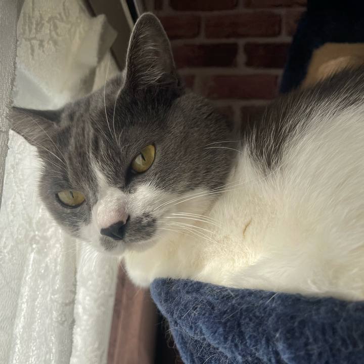 C5cdf5d8 c998 450f 9ccf c6b3c5f243a9 1668816255472