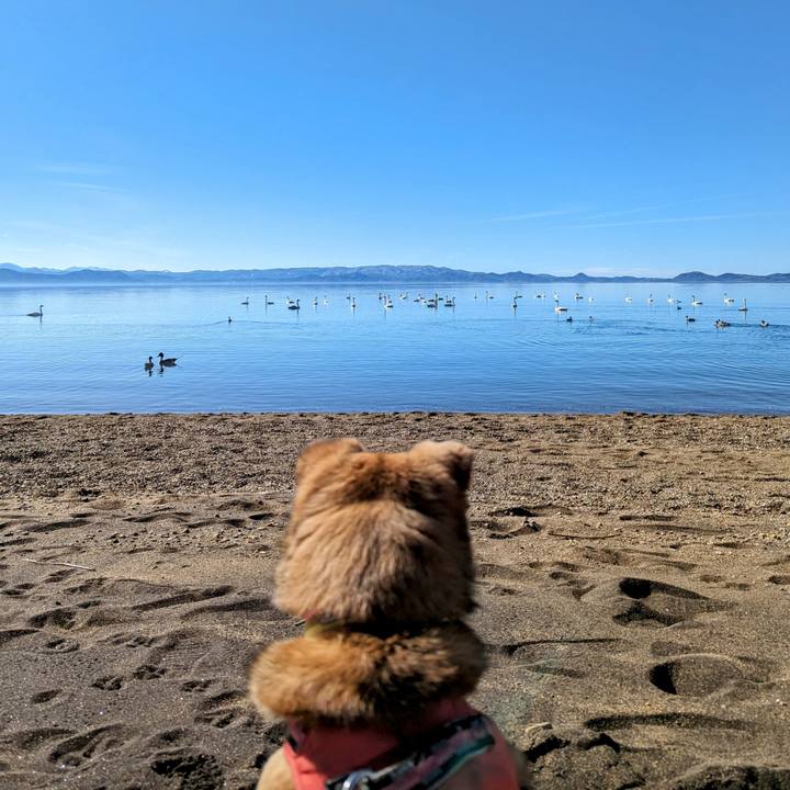 C5cdf729 5267 449f b40b b34006249ba5 1708260380270