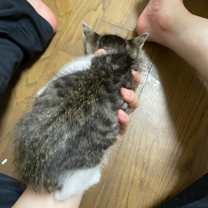 C5ce0179 52b2 4c13 9d6a d36869b7b739 1720182153316