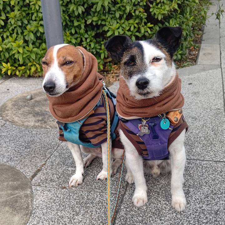 C5ce01c4 f69f 4a50 bd9f 7bae62a7026f 1708216124985