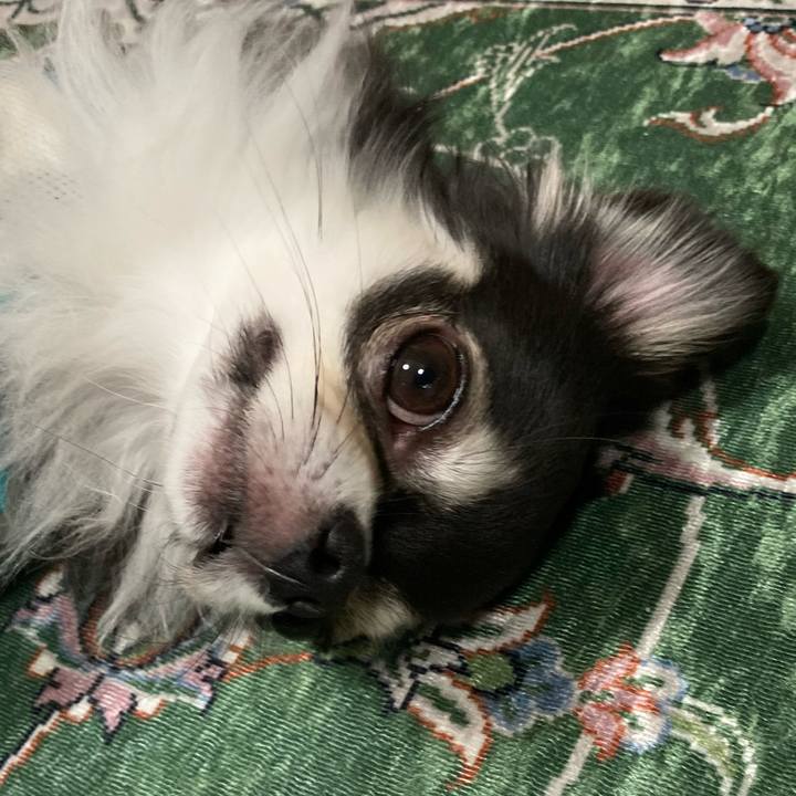 C5ce594e 9230 4461 9f3d c52470ac7ab6 1654960934730