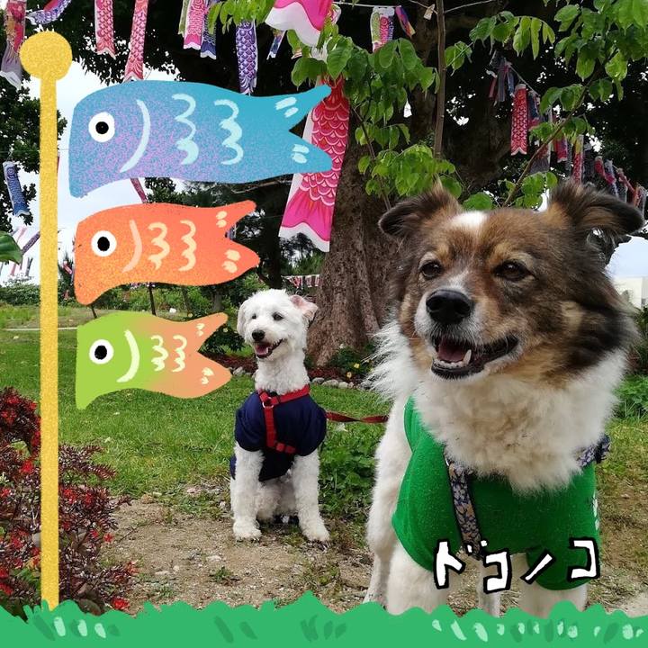 C5ce747a f5ff 4741 b97e 8155ec2532a4 1715508940740