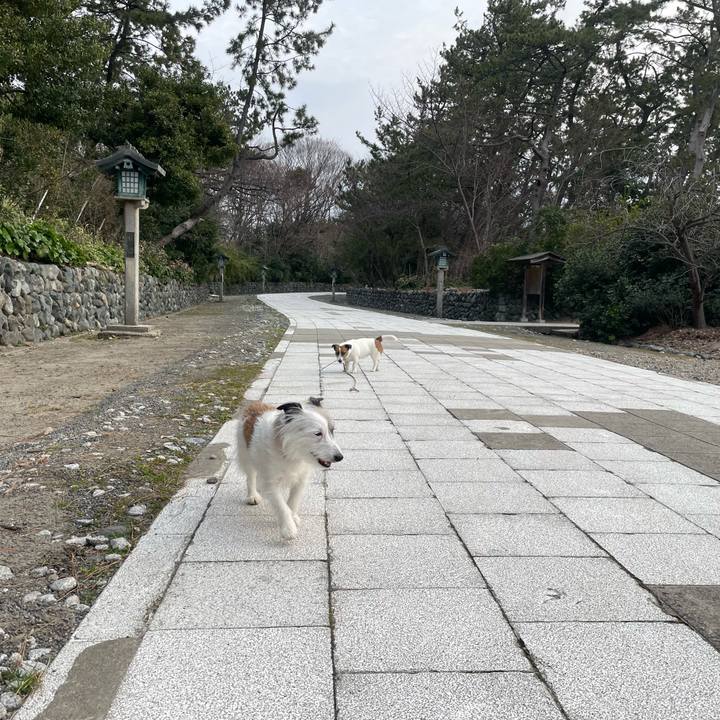 C5ce7a5a 6419 4ec3 bb3a 9c87b627d48a 1710627579716