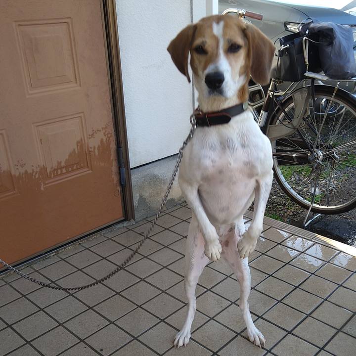 C5ce80c6 5029 4ee4 acb8 e47b209d0e1d 1632732028973