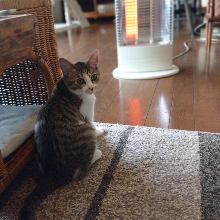 C5ced89a 0e43 401f b2d9 0136b7a2a113 1550966734170