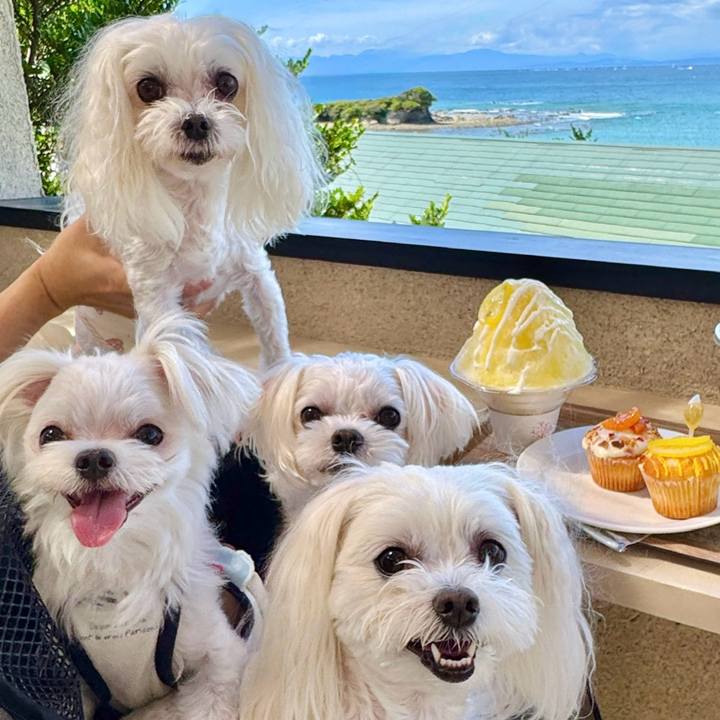 C5cf12bf 3a75 403a af10 360da4508423 1758881611459