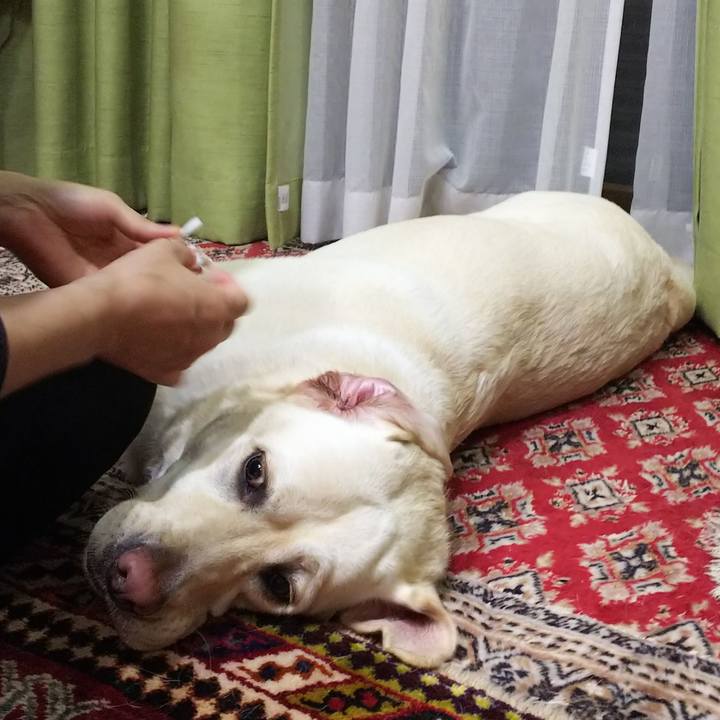 C5cf741d 2632 4c0a bdb1 fd52a23d155b 1558439033477