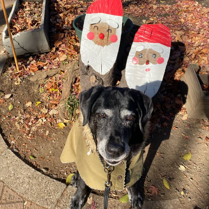 C5cf7ad3 4626 4fef af11 3d4032e3ee54 1733967640471