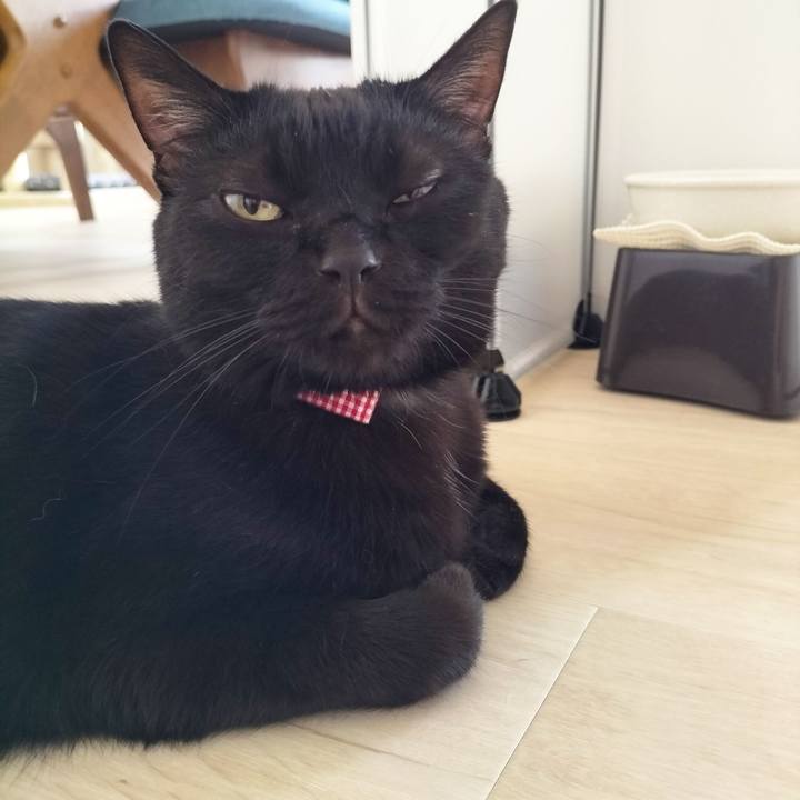 C5cf83d8 1f25 455e 9dc8 41fa183a282f 1693520996604