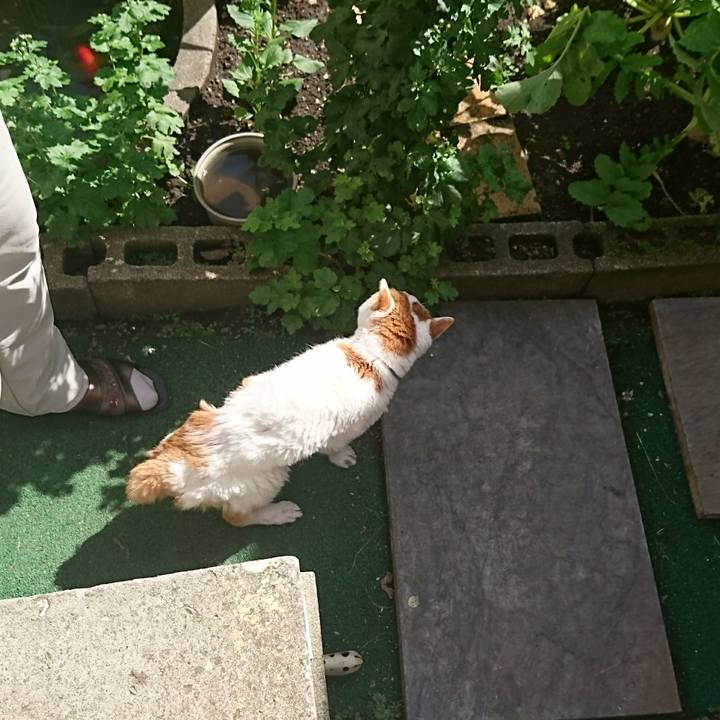 C5cf8a8b cb52 46f0 ae95 8d6cbc356c1d 1600746041951