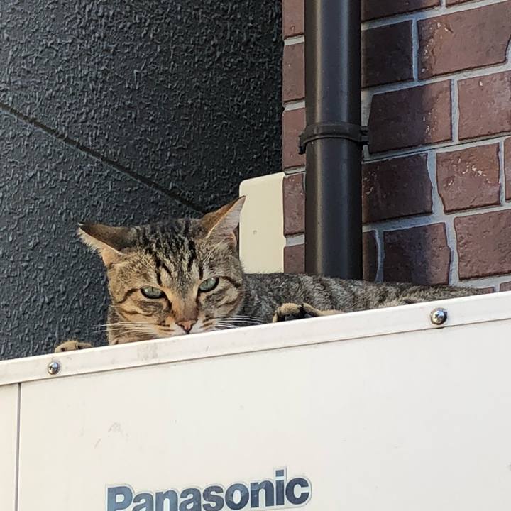 C5cfdf7a e493 4f49 ba5b 917ac50aed4d 1538832143266