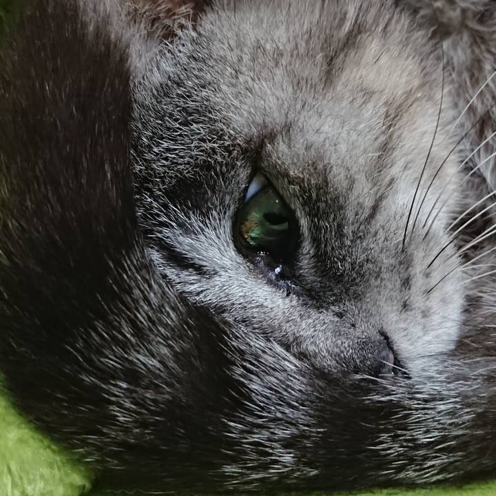 C5cff37a b368 4fba bcf9 05c13d9e6608 1587811726752