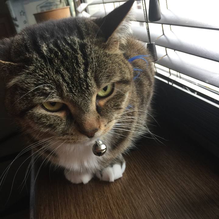 C5d01855 2451 4663 9807 848f5ace1800 1556590996528