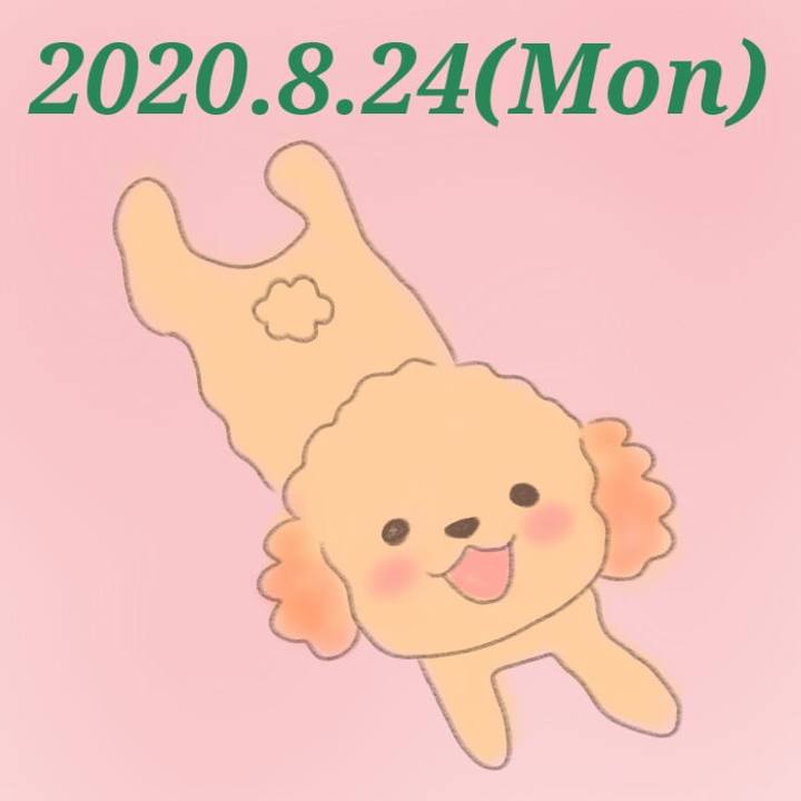 C5d019f8 809d 47c7 adb0 c6c1f6417b7e 1598265933356