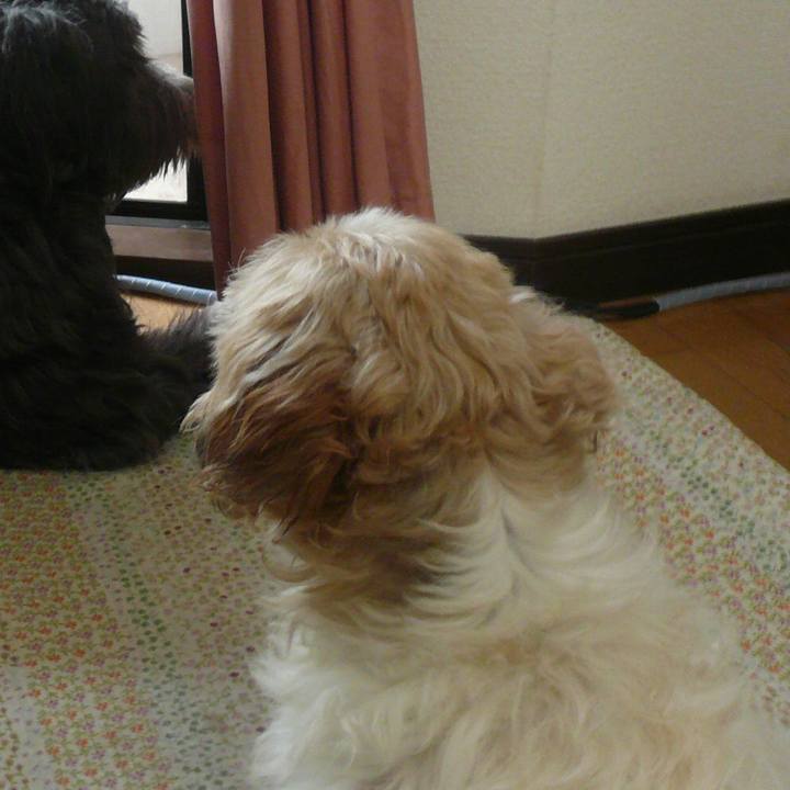 C5d0326b 148d 41b1 9ecf 34cd01be2672 1526210454739