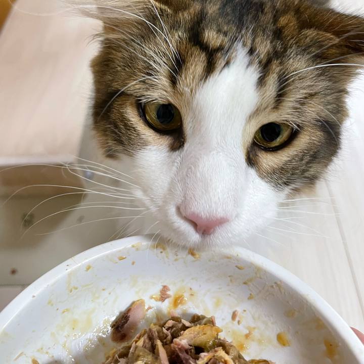 C5d040b4 e956 4086 8412 500043cf9d07 1646474567461