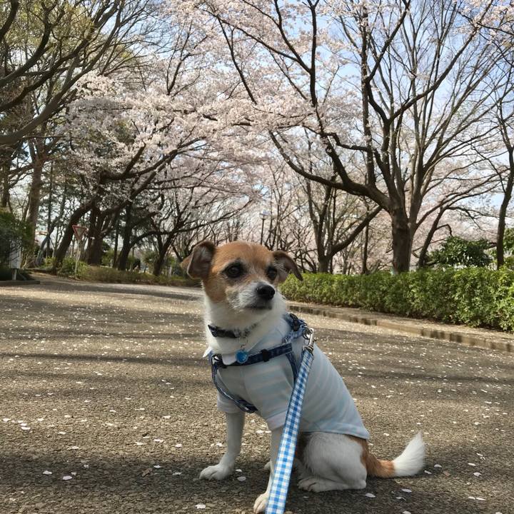 C5d04e53 bff5 4ca7 9e8e 9a8bbb5d72dc 1554452110936