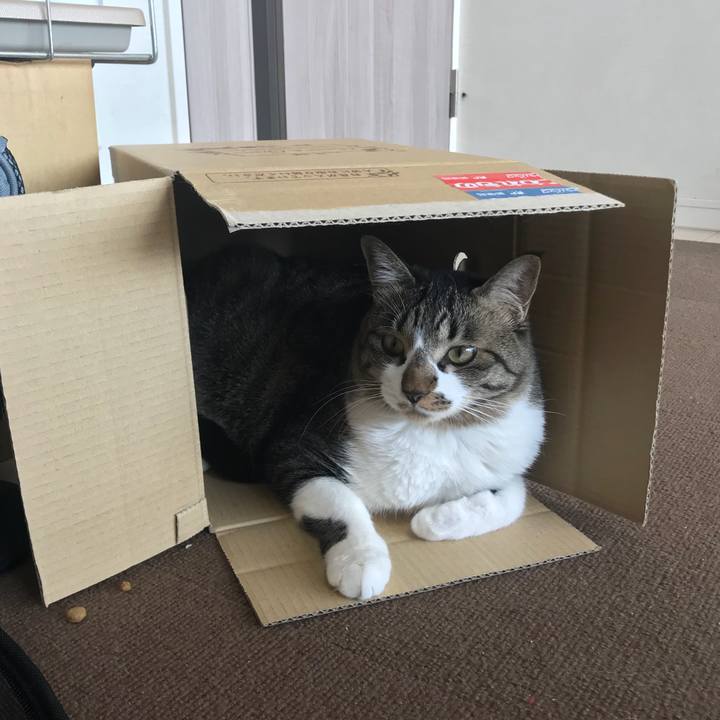 C5d04f52 4ef0 4297 baeb dfce0cea2b3c 1520918146715