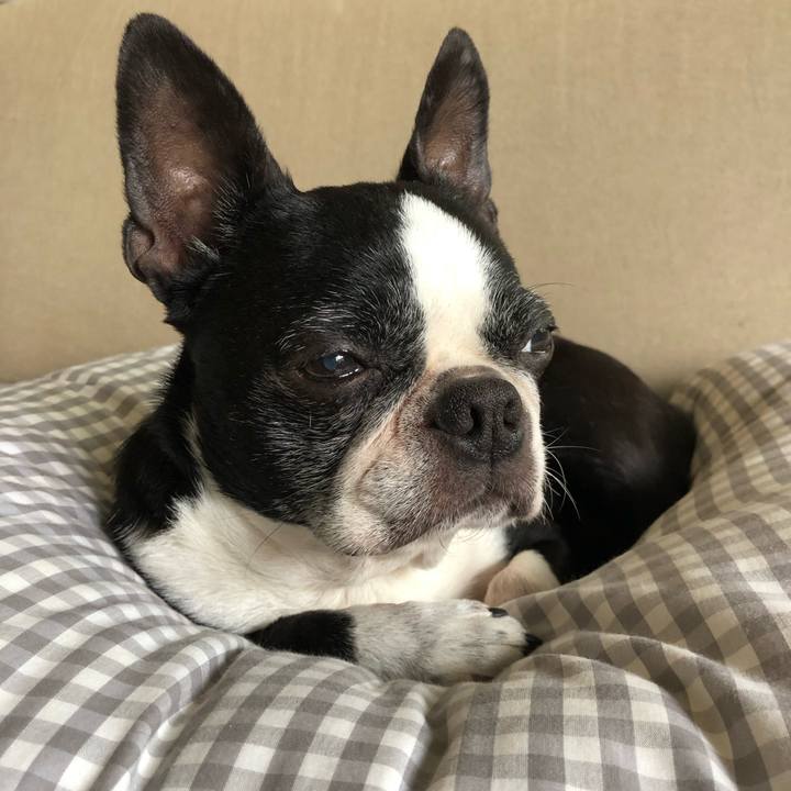 C5d0533c 5d74 4436 9ff6 49db041ec316 1686195934127