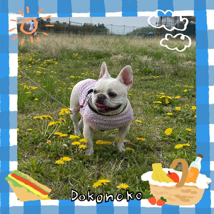 C5d0daa8 427d 4ac9 a383 c6cc903af7af 1744251928180