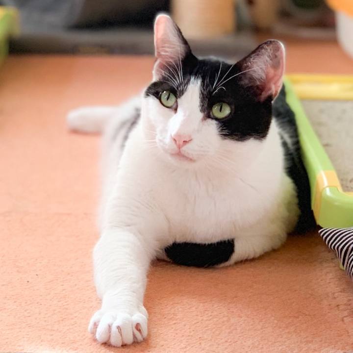 C5d106af 0146 4053 b65a af5f5e2a6b36 1572916863656