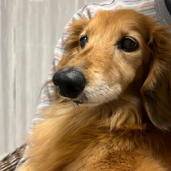 C5d11f87 ed7a 4e44 927b 13d9b88c4349 1684153355108