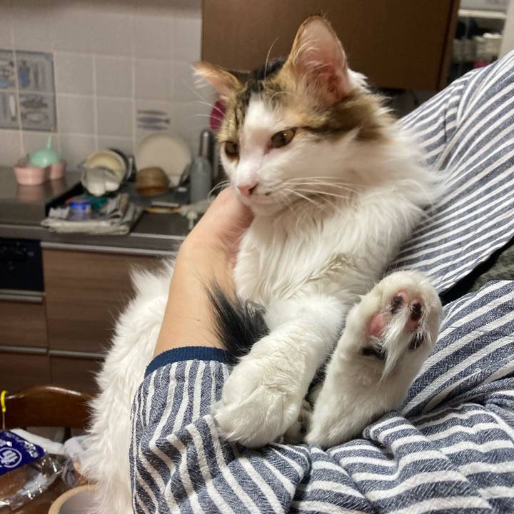 C5d13371 f4ad 4e31 bc93 d71394e8c18a 1768018818297